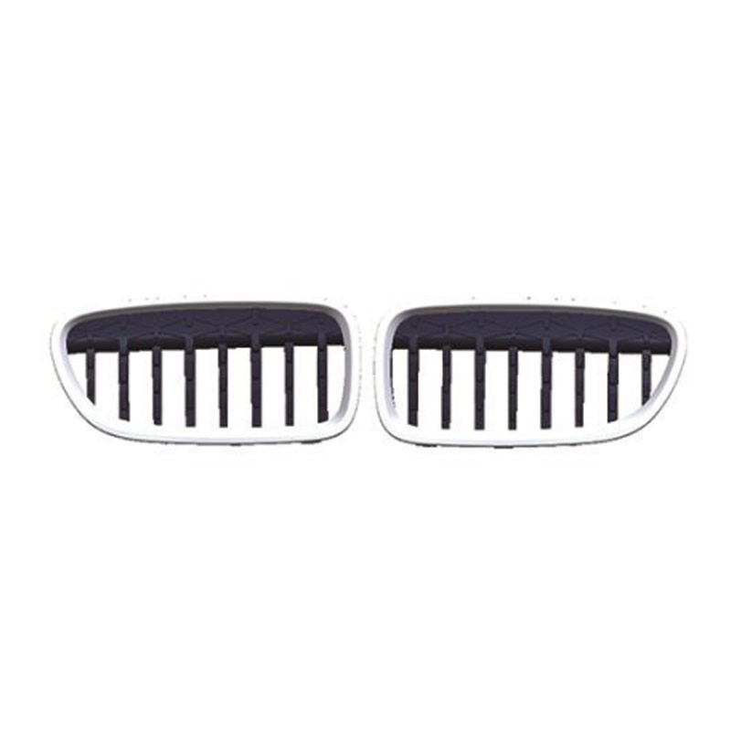 F18 / F10 M5 GRILLE (2010-UP) 1